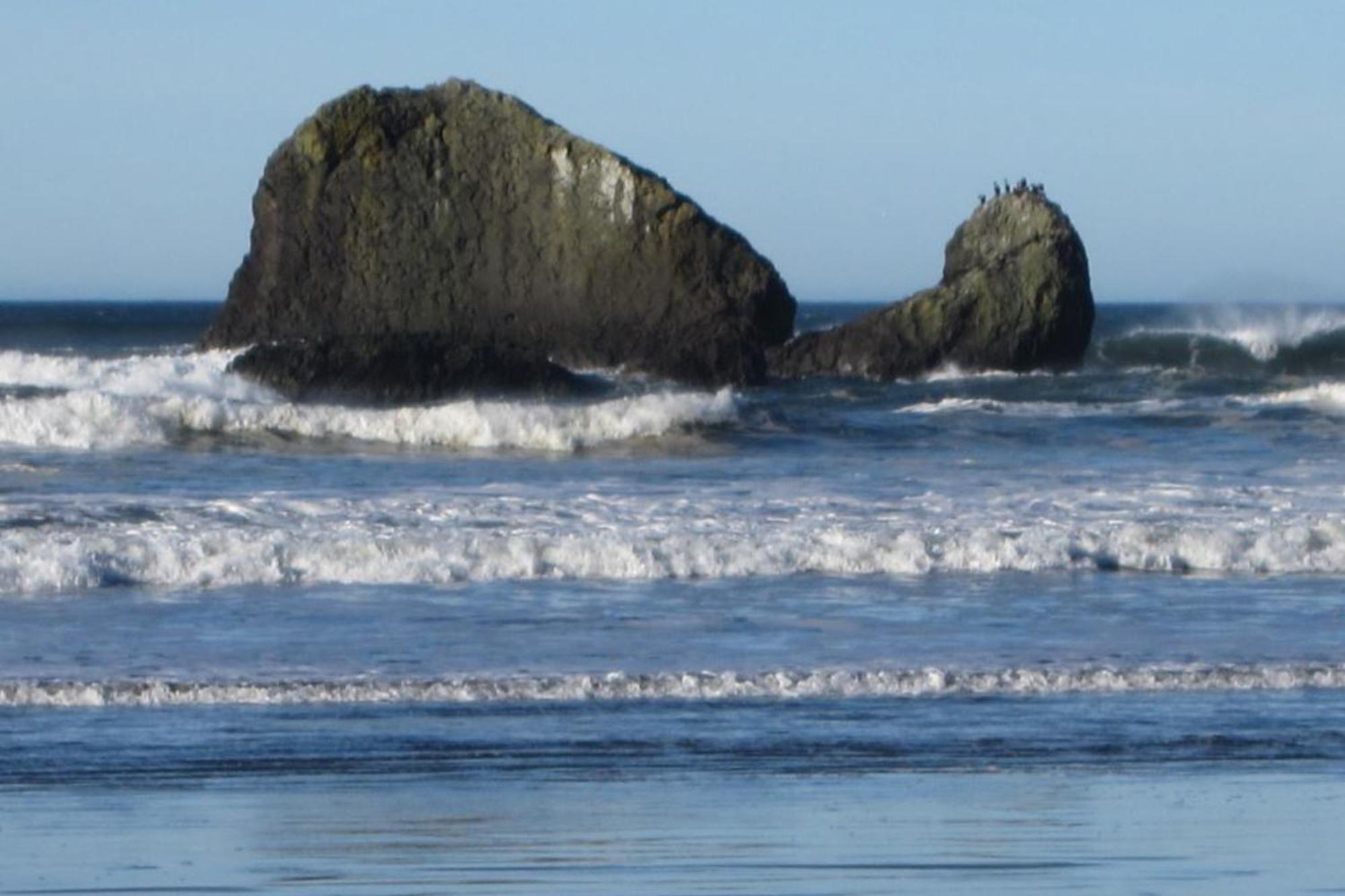 Rocks Cabin Copalis Beach Екстер'єр фото